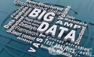 DMX攜手數(shù)博會暨物聯(lián)網(wǎng)高峰論壇隆重召開，共話物聯(lián)網(wǎng)技術(shù)研發(fā)與應(yīng)用新篇章